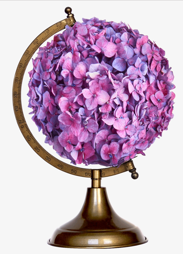 Animated retouched hydrangea globe creative for paid media advertising campaign. Animated retouched hydrangea globe creative for paid media advertising campaign.