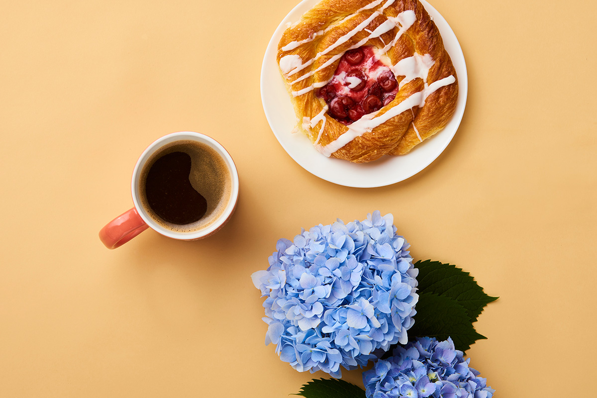 Art directed photo shoot of Bailey Nursery hydrangea for advertising campaign - breakfast lovers.