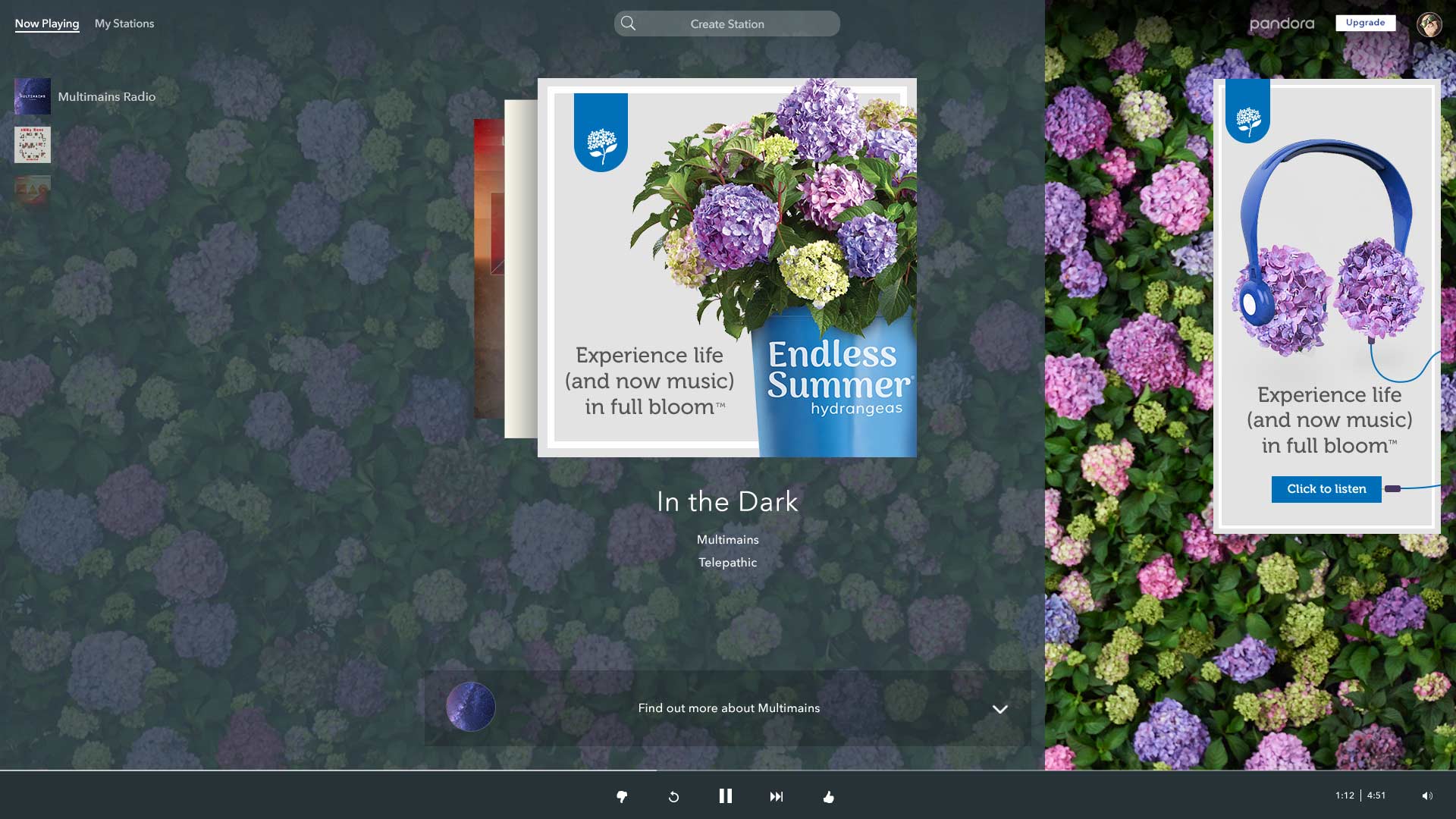 Pandora playlist and advertising paid media campaign for Endless Summery Bailey Nursery hydrangeas.