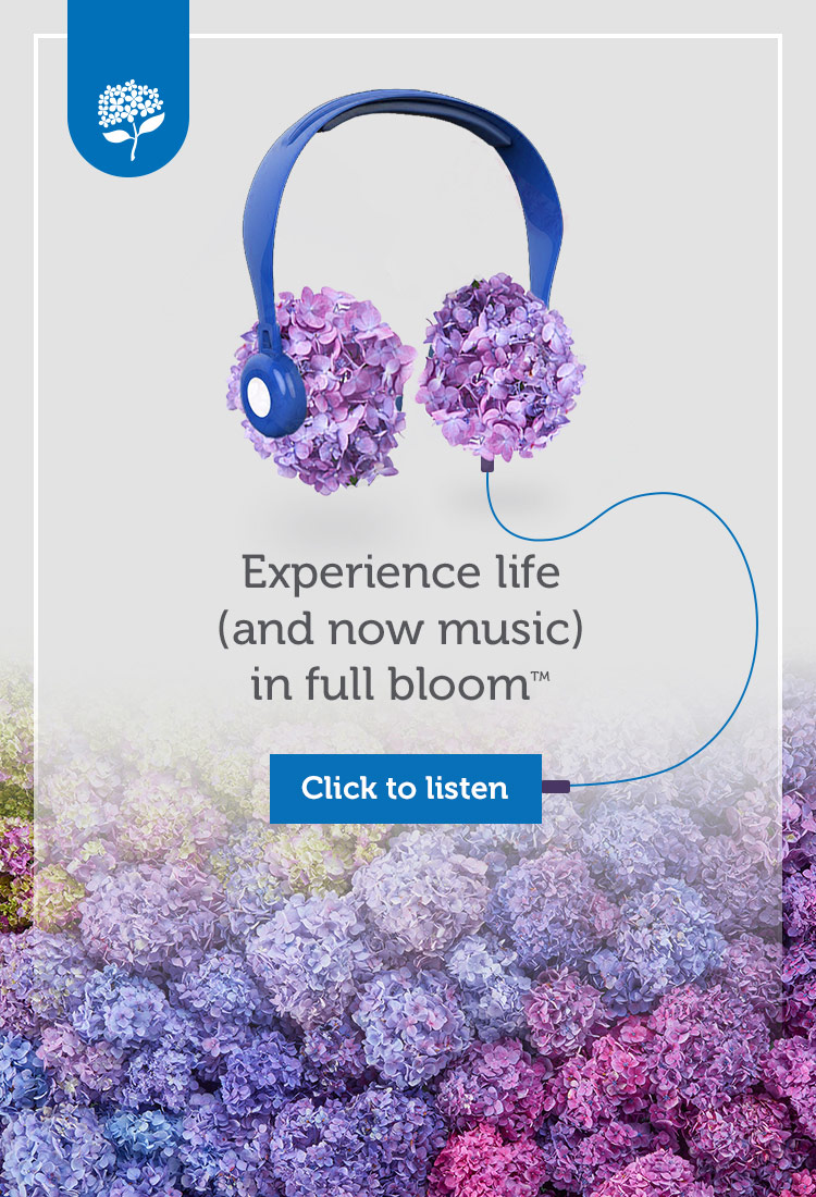 Endless Summery retouched hydrangea headphones creative banner ad for paid media advertising campaign.