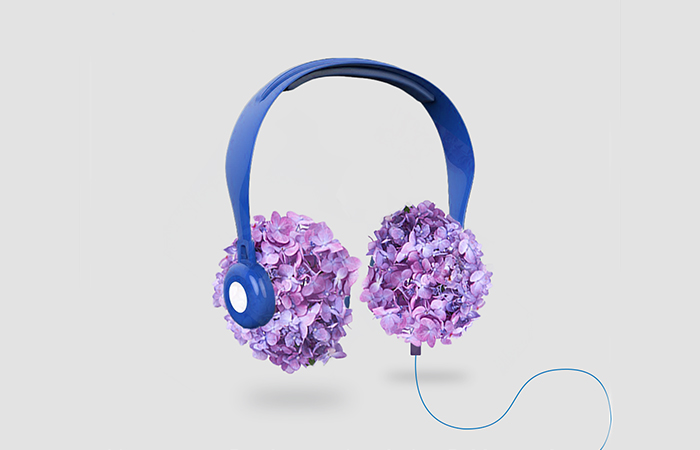 Retouched and edited hydrangea headphones for Pandora paid media campaign.